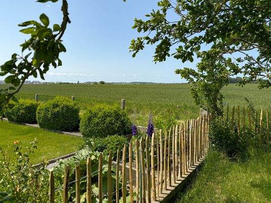 Fernblick über die Felder - Nr. 8