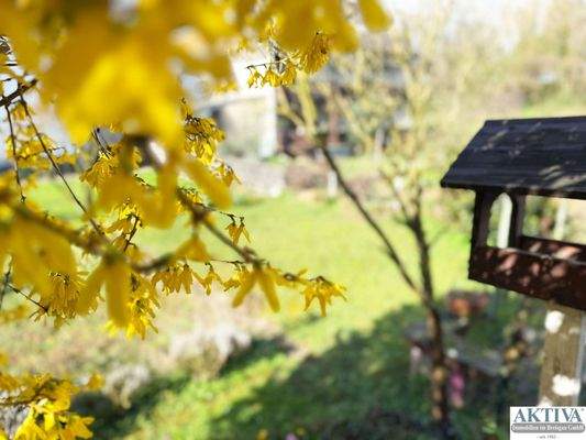  Impressionen des Gartens