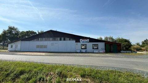 Güttenbach Halle, Güttenbach Hallenfläche