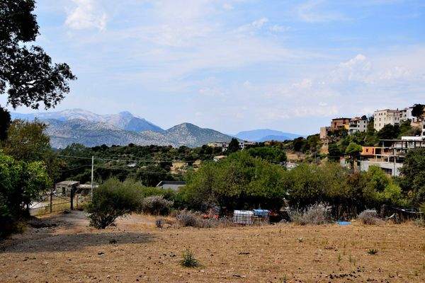 Ansicht gegen untere Grundstückgrenze (mit bestehender Zufahrt & Tor)