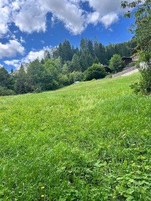 Ulten – Tourismus, Bauen und Gastronomie vereinen sich hier mit einzigartigen Chancen für neue Ideen und ein attraktives Baugrundstück – Ultimo, turismo, costruzioni e gastronomia si incontrano qui con opportunità uniche per nuove idee e un terreno edific