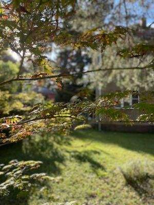 Letzter Blick vom Garten aus