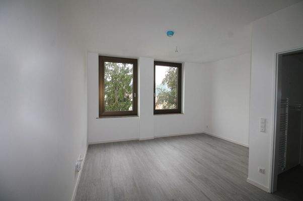 Wohn-Koch-Schlafbereich (2)