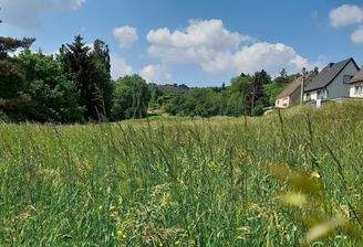 Endlich mein eigene Scholle