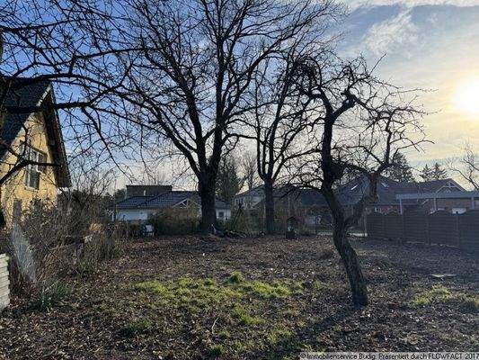 Blick vom Grundstück zur Straße