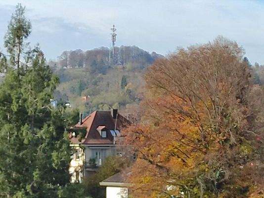 Blick vom West-Balkon