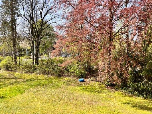 Foto 04.05.23, 10 32 53.jpg