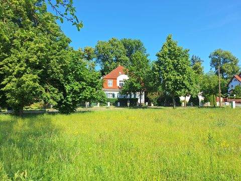 Wolgast Häuser, Wolgast Haus kaufen