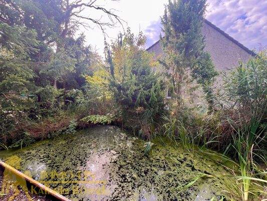 Blick vom Balkon der Finnhütte auf den Teich