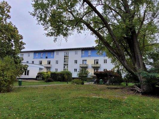 20251007_115920_resized