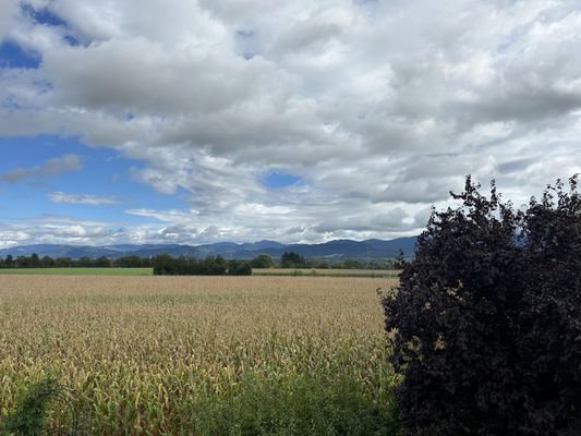 Blick aus dem Schlafzimmer im OG