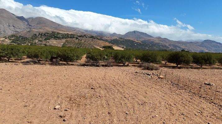 Kreta, Skaloti: Großes Baugrundstück mit Meer- und Bergblick an der Südküste