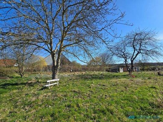 Weitläufiges Grundstück