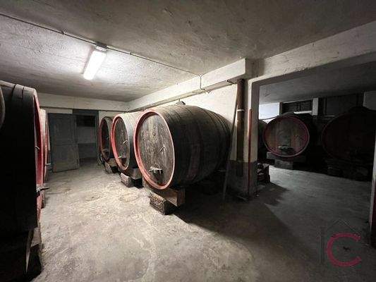 San Giovanni al Natisone (9)