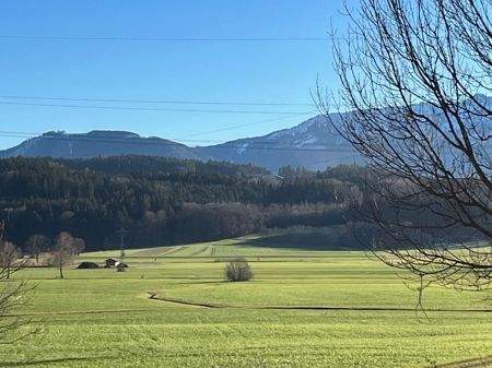 Blick aus dem Fenster
