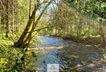 Waldverkauf-Ravensburg_03.jpg