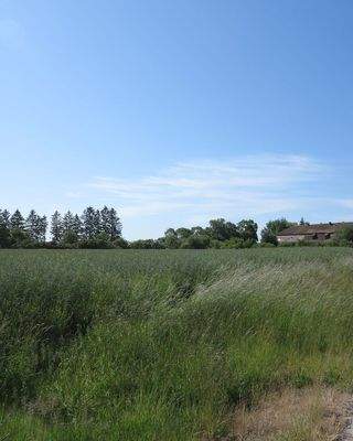 freier Blick von/zum Gutshaus