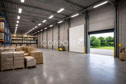 Duisburg Halle, Duisburg Hallenfläche