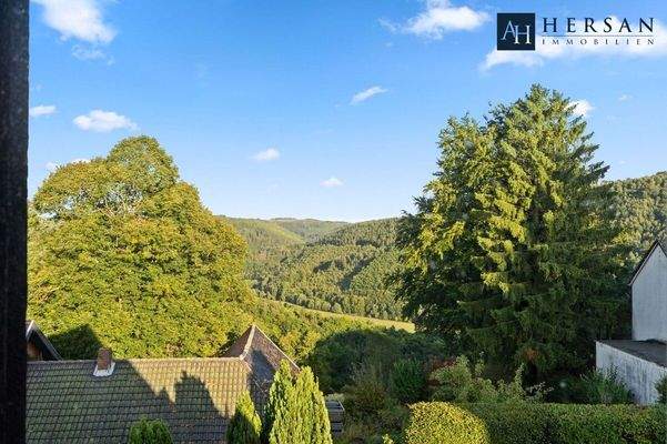 HI 878 - Immobilie Simmerath - 30