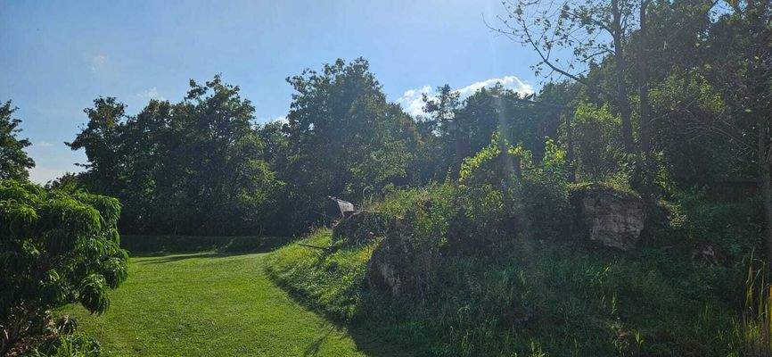 PHOTO-2024-09-05-15-47-21 3