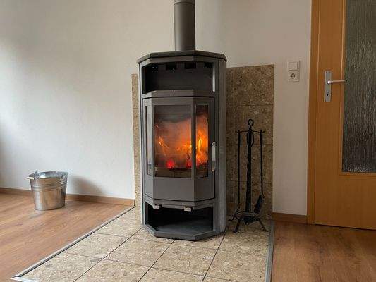 EG Wohnzimmer Kaminofen