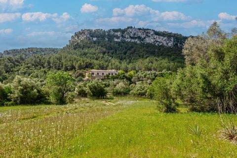 Puigpunyent Häuser, Puigpunyent Haus kaufen