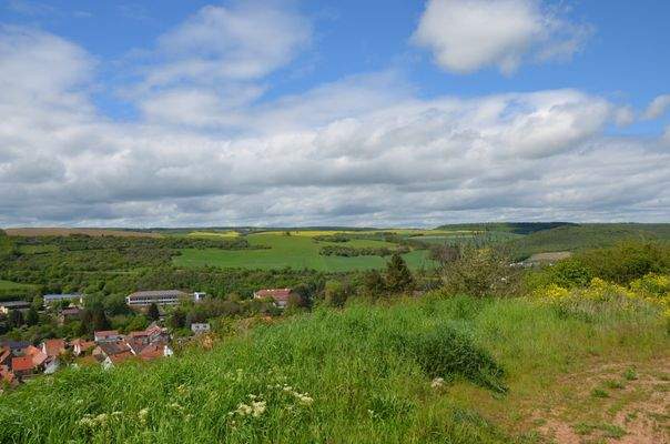 Blick Nordpfälzer Bergland