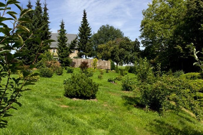 Schöne Lage im Grünen - nur