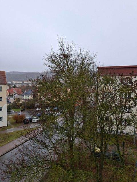 Sondershausen Wohnungen, Sondershausen Wohnung mieten