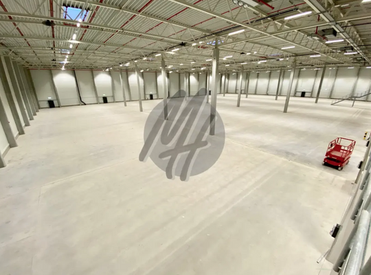 INFOS UNTER: 06171-586000