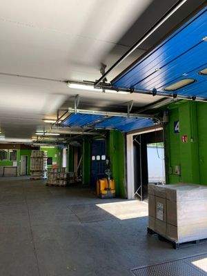 Screenshot 2026-01-26 120059