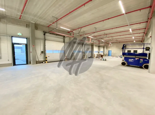 INFOS UNTER: 06171-586000