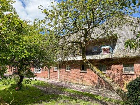 Tating Häuser, Tating Haus kaufen