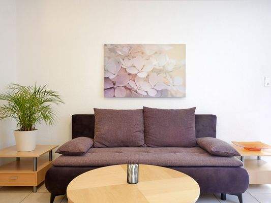 204 7 Couch (1 von 1).jpg