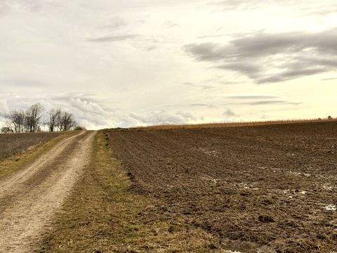 Pfeffenhausen / Oberlauterbach Bauernhöfe, Landwirtschaft, Pfeffenhausen / Oberlauterbach Forstwirtschaft
