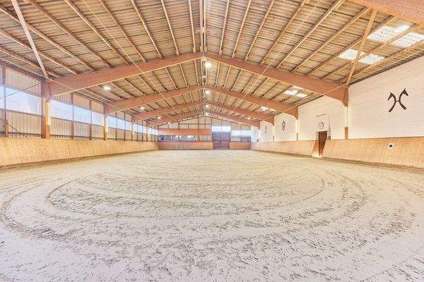 04 Reithalle 20 x 40 Meter.jpg