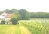 Raum WISSEMBOURG Schöne VILLA 5 Zi. von ca. 130 m2 mit ca. 820 m2 Grundstück, und Möglichkeit für ein toller Bauplatz...