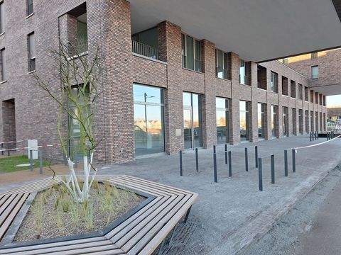 Greifswald Büros, Büroräume, Büroflächen 