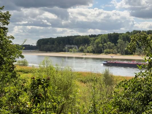 Den Rhein vor der Tür