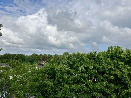 Blick vom Balkon über die Bäume
