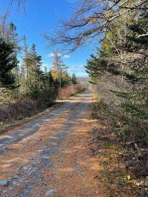 Somerset Drive Privatstraße