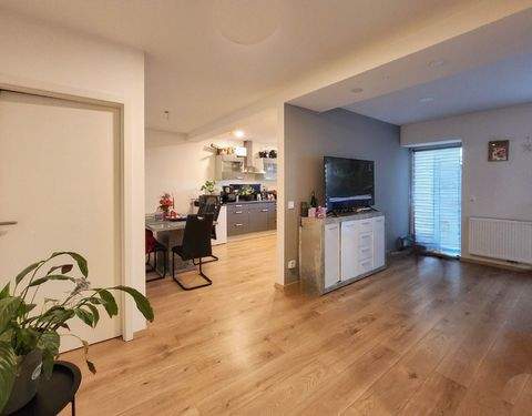 Damflos Häuser, Damflos Haus kaufen