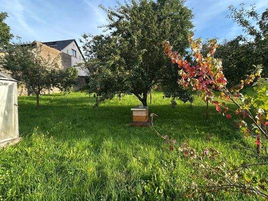 wunderschönes Baugrundstück