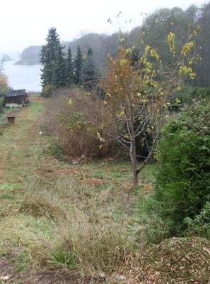 Blick nach Osten.JPG