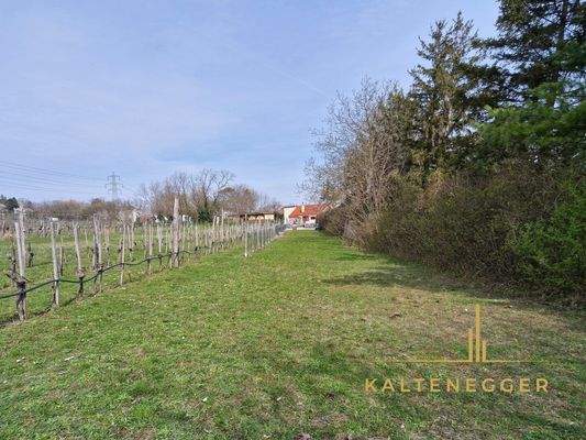 viel Grünfläche mit Blick auf das Restaurant