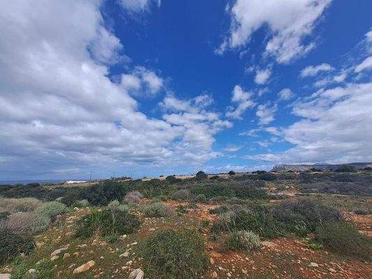 Kreta, Skaleta: Riesiges Grundstück zum Verkauf - ideal für touristische Investitionen!