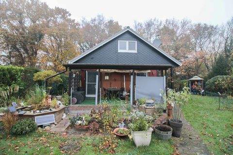 Hohenwestedt Häuser, Hohenwestedt Haus kaufen