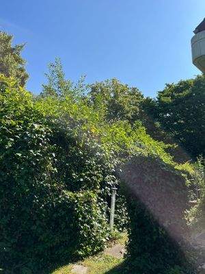 WhatsApp Bild 2025-08-01 um 14.48.18_61575d63.jpg