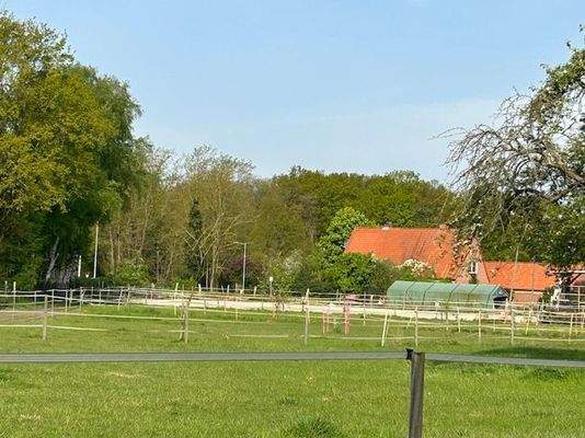 Blick über die Grünflächen zum Reitplatz