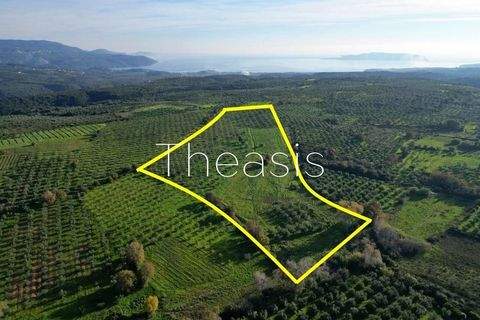 Evangelismos Grundstücke, Evangelismos Grundstück kaufen